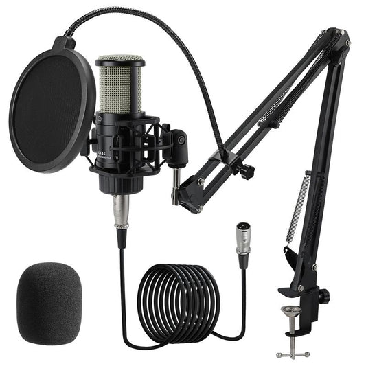 ALABS Condenser XLR Microphone,With 25Mm Diaphragm,Professional Recording Kit for Music Production,Singing, Vocals, Studio Microphone with Audio Mount